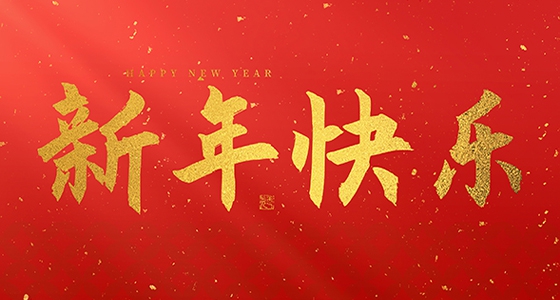 安特儀表集團(tuán)有限公司祝大家2025新年快樂！